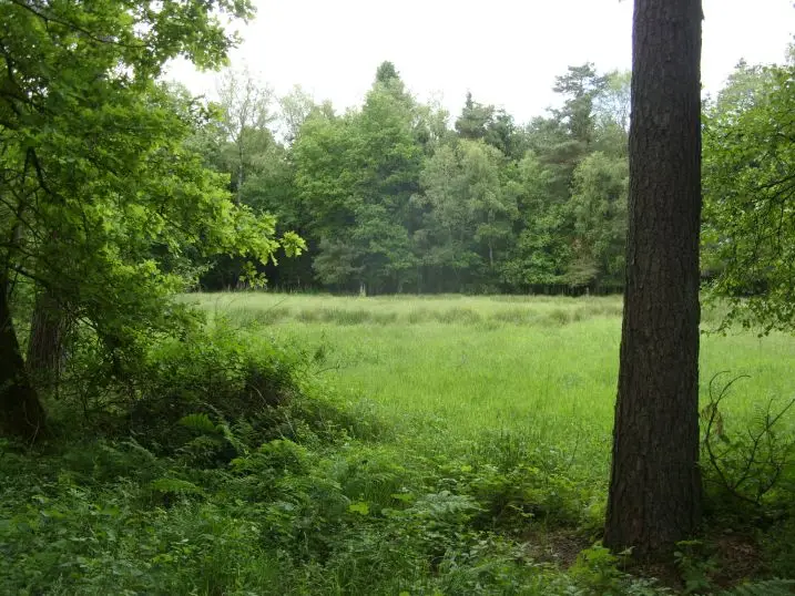 Ahlhorner Fischteiche