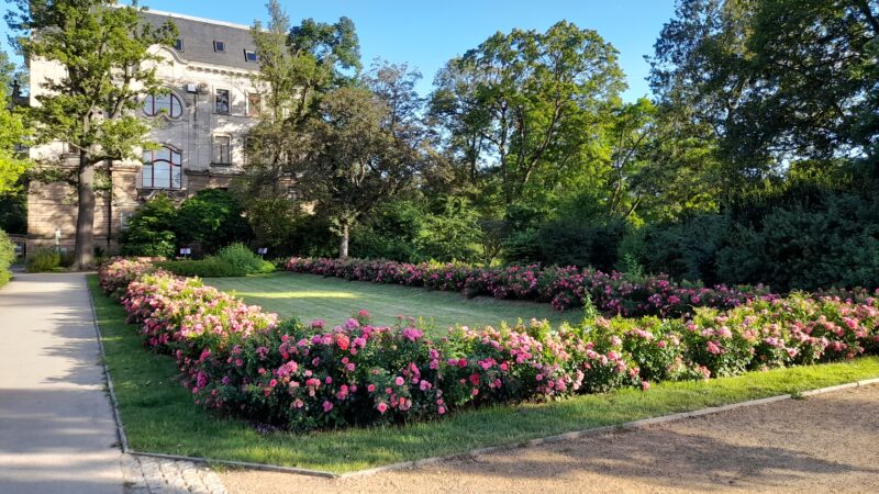 Schwanenteichpark Zwickau