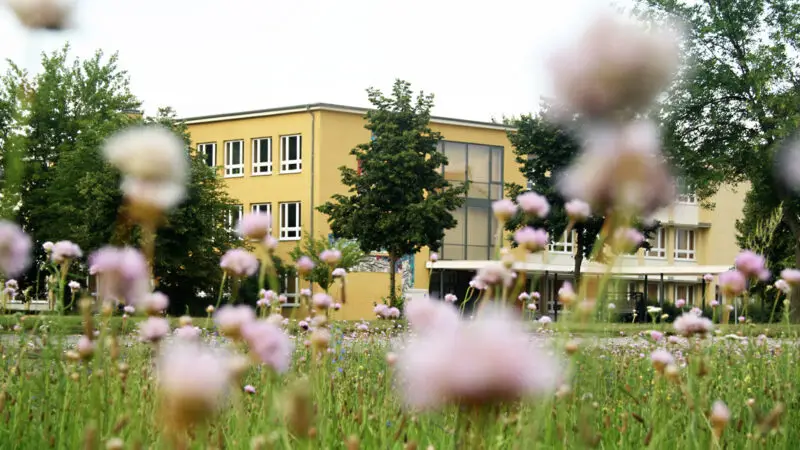Naherholungsgebiet „Insel" Eisenhüttenstadt - Am Platz der Jugend. EisenhC3BCttenstadt