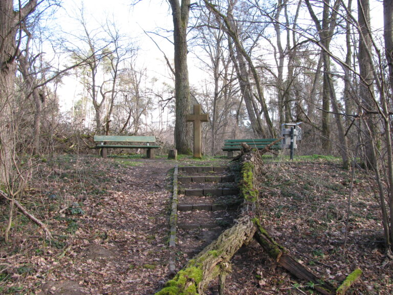 Blick auf Rüsselsheim am Main