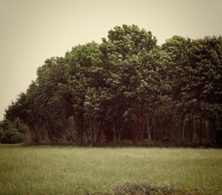 Blick auf Rudow
