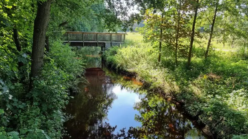 Naturschutzgebiet Auetal bei Harsefeld - Aue bei Bargstedt