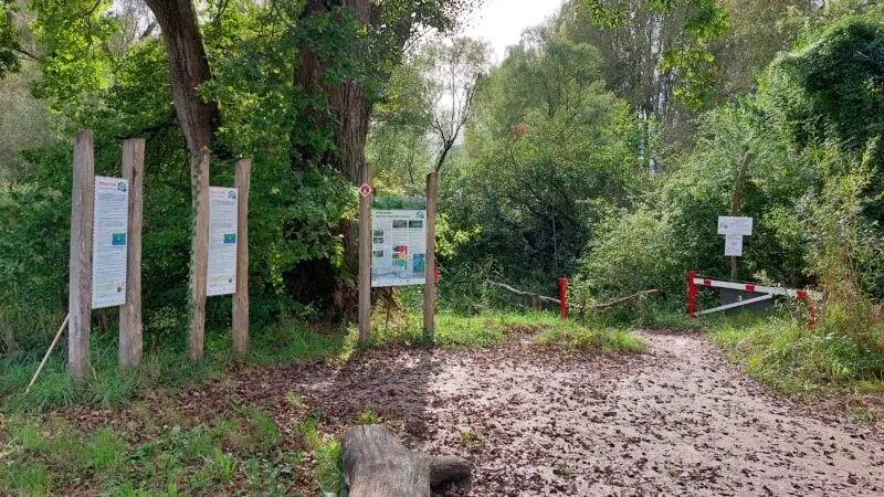 Auen-Wildnispfad Neuried-Altenheim - Auen Wildnispfad Neuried Startpunkt