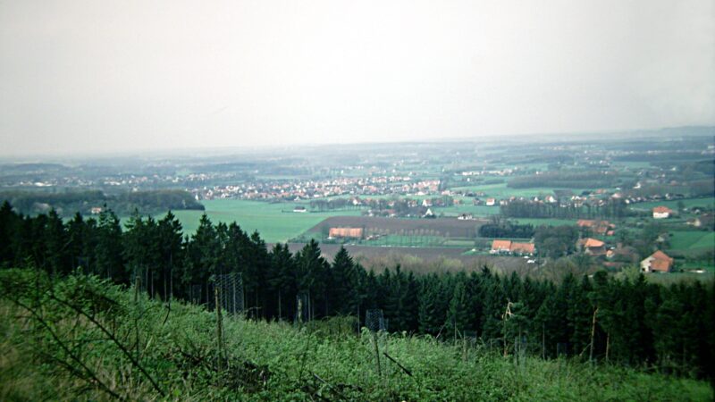 Hüggel - Aufforstung am HC3BCggel panoramio