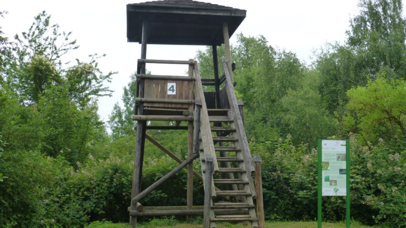 Weilbacher Kiesgruben