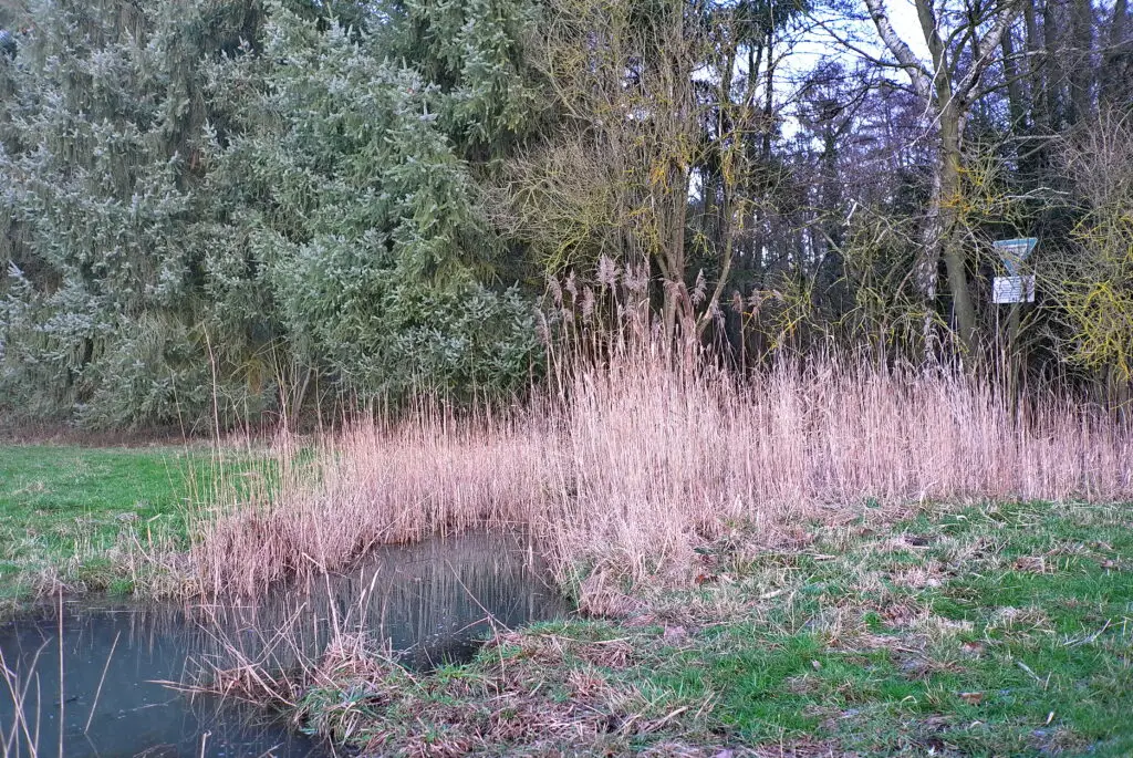 Naturschutzgebiet Hengster