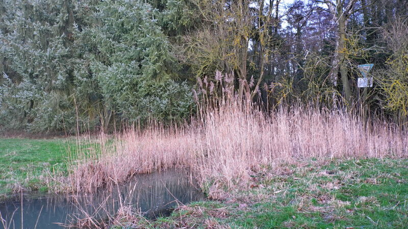 Naturschutzgebiet Hengster - Bachlauf im Hengster