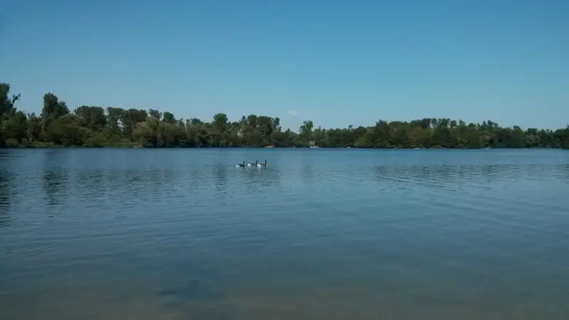 Barmener See & Rurmäander (Naturschutzgebiet Drieschlandschaft) - Barmener See