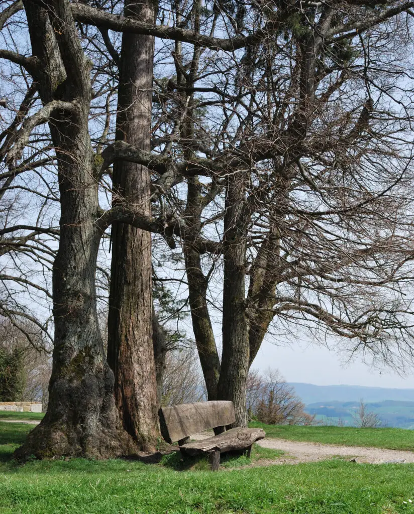 Hohenstaufen – Löwenpfad „Spielburgrunde“