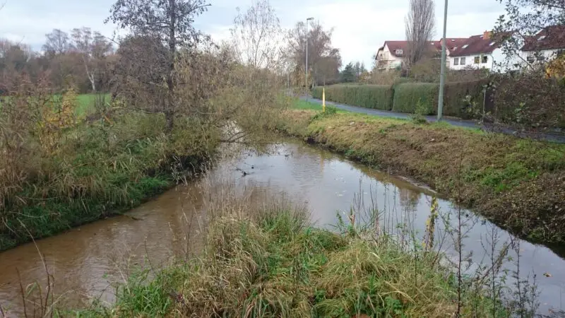 Mainuferweg / Schlosspark Rumpenheim - BiebermC3BCndung 28Rodau29