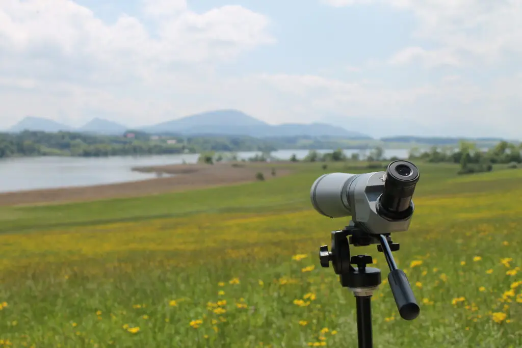 Naturschutzgebiet Wenger Moor (Wengermoor) – Neumarkter Uferweg am Wallersee