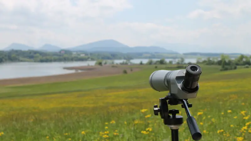 Naturschutzgebiet Wenger Moor (Wengermoor) – Neumarkter Uferweg am Wallersee - Birding naturschutzgebiet wenger moor E Ortner