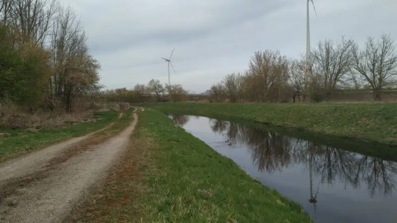Hundeauslaufgebiet Blankenfelde (Blankenfelder Graben)