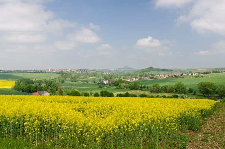 Blick auf Warburg