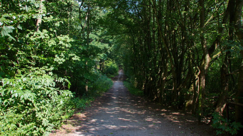Benther Berg (Wanderweg & Hundespielplatz)