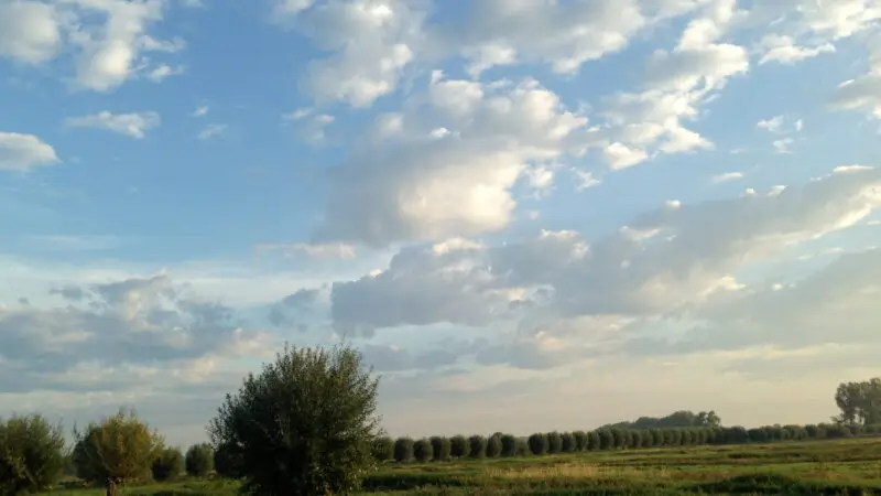 Drömling – „Land der tausend Gräben" - Blick auf den DrC3B6mling
