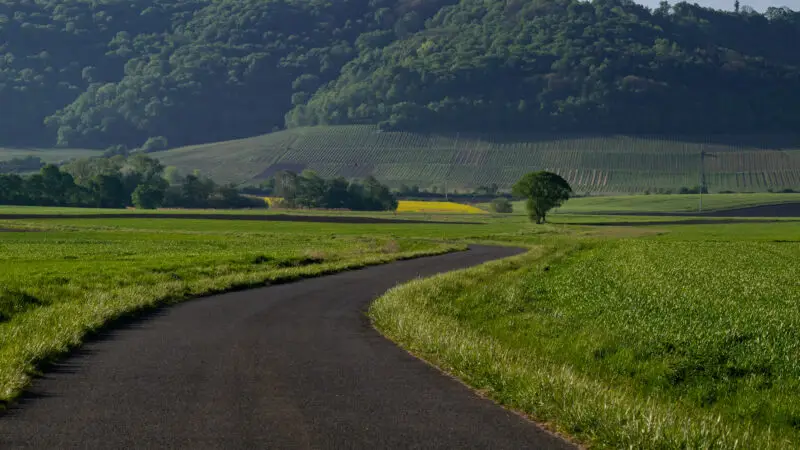 Naturpark Steigerwald - Blick auf den Naturpark Steigerwald mit den WeinhC3A4ngen