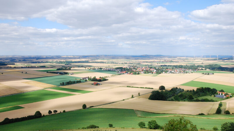 Desenberg (Vulkankegel mit Burgruine bei Warburg) - Blick vom Desenberg 2010