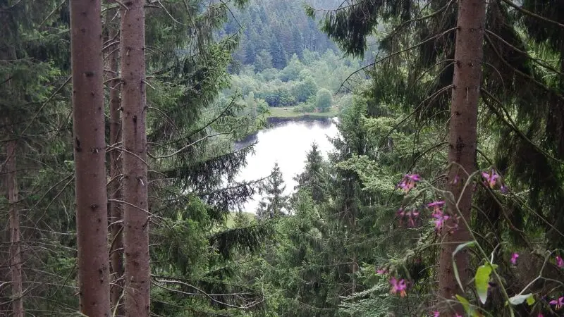 Sankenbachsee - Blick zum Sankenbachsee panoramio