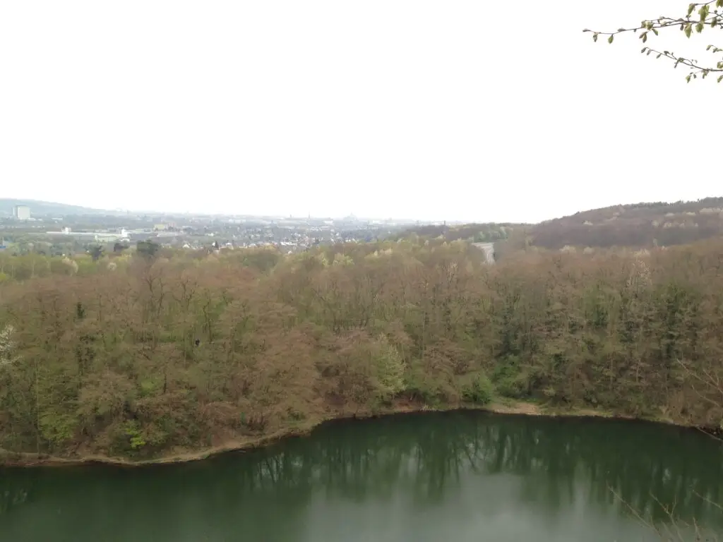 Dornheckensee & Ennert-Rundweg (Bonn-Oberkassel)