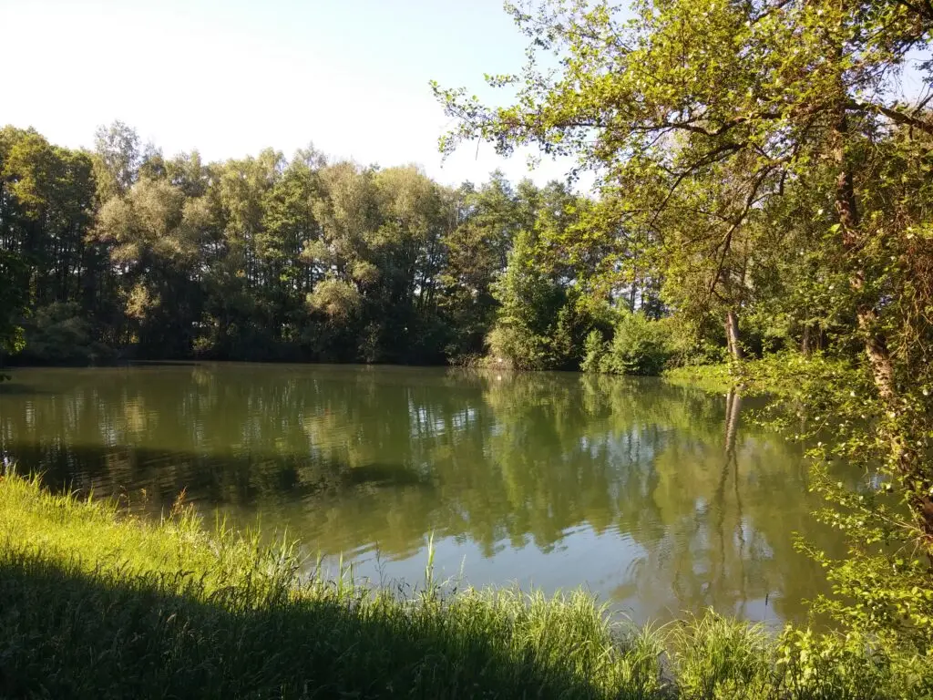 Landschaftspark Bruchsee, Egelsbach