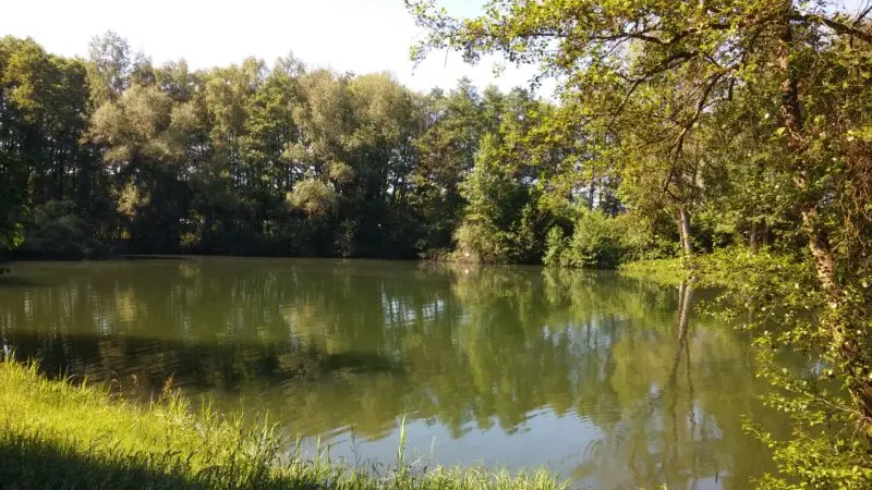 Landschaftspark Bruchsee, Egelsbach - Bruchsee Egelsbach