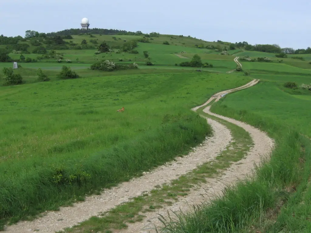 Naturpark Leiser Berge (Buschberg-Rundwanderung)