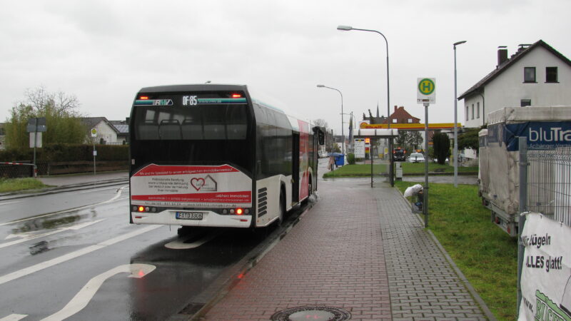 Seligenstadt Stadtwald