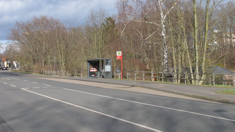 Hohnsensee