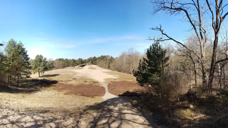 Besenhorster Sandberge - DC3BCnenlandschaft der Besenhorster Sandberge und Elbsandwiesen