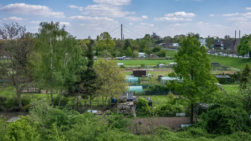 Rheinwiesen Niederkassel/Lörick (Düsseldorf) - DC3BCsseldorf Niederkassel SchrebergC3A4rten