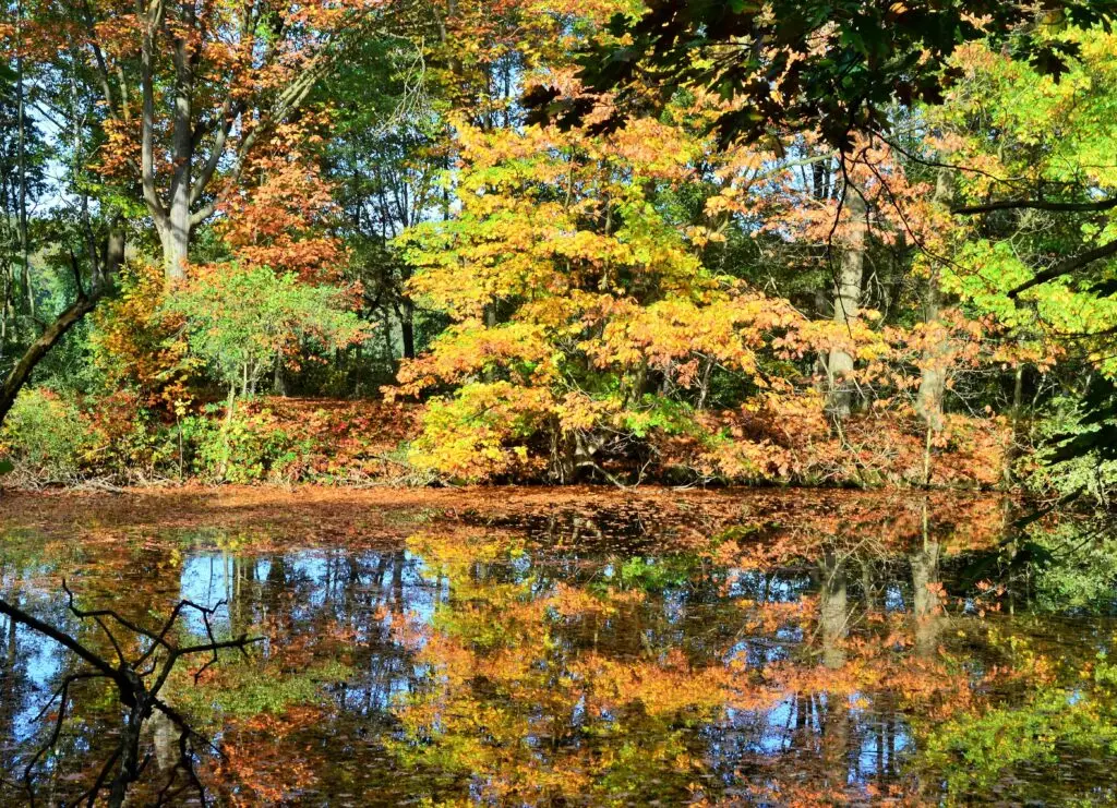 Venekotensee (Niederkrüchten)
