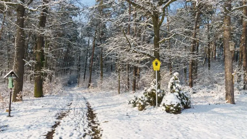 Dahlener Heide (Landschaftsschutzgebiet) - Dahlen Heide Landschaftsschutzgebiet