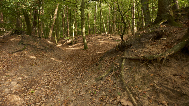 Naturschutzgebiet Hohes Elbufer zwischen Tesperhude und Lauenburg - Das FFH Gebiet und NSG E2809EHohes Elbufer zwischen Tesperhude und Lauenburg E280A6E2809C 08
