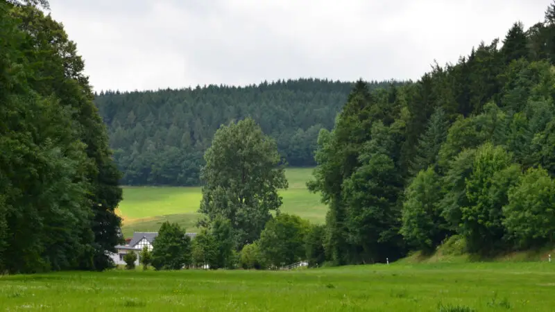 Naturschutzgebiet Rübenkamp-Melbecketal - Das schC3B6ne Melbecketal in mitten der Wiesen und WC3A4lder