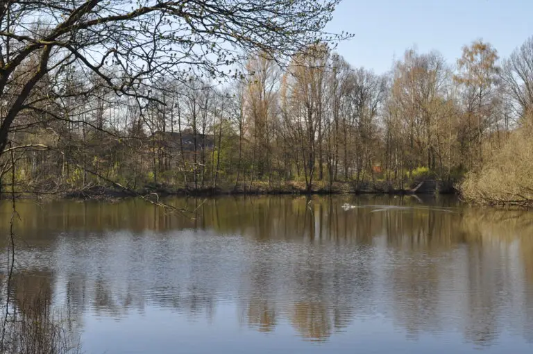 Blick auf Rahlstedt