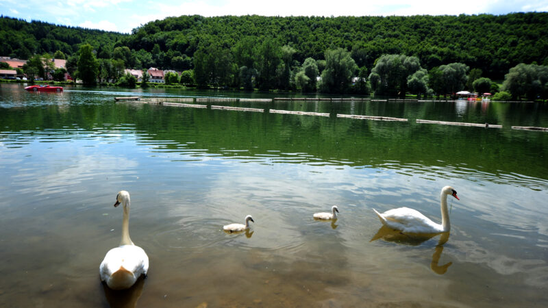 Itzelberger See - Der Itzelberger See in KC3B6nigsbronn wurde schon im Jahr 1471 urkundlich erwC3A4hnt. 01