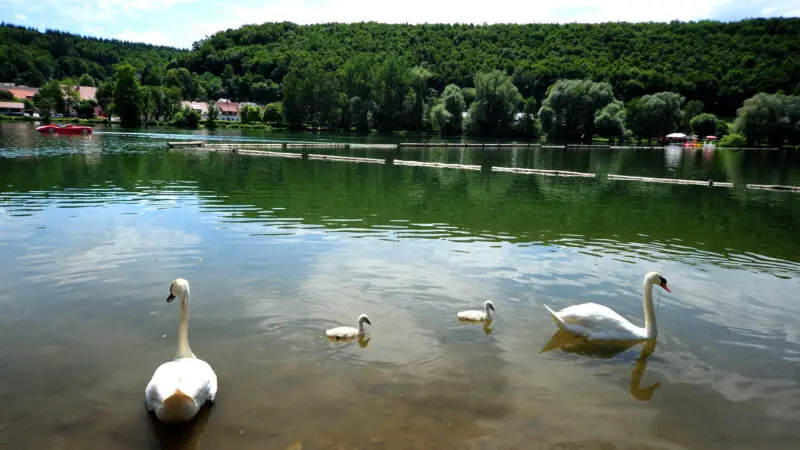 Itzelberger See - Der Itzelberger See in KC3B6nigsbronn wurde schon im Jahr 1471 urkundlich erwC3A4hnt. 01