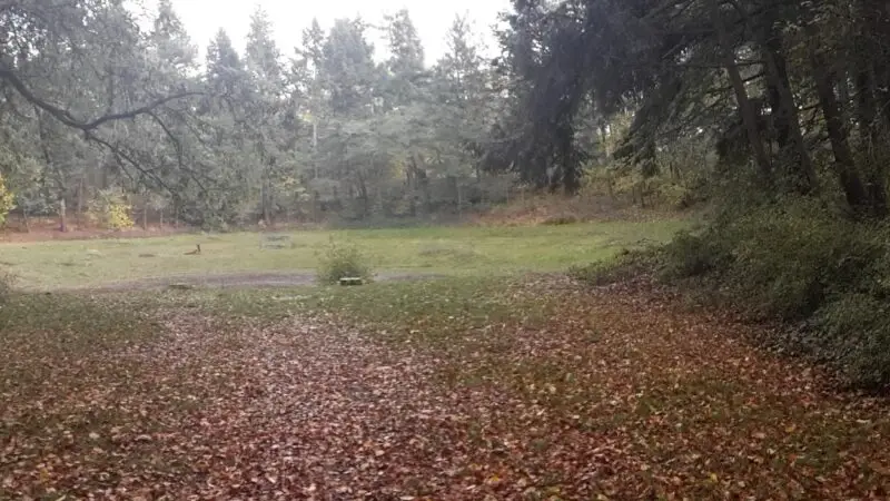 Volkspark Rehberge - Der Weg zum Tanzring im Volkspark Rehberge2C Herbst 2016
