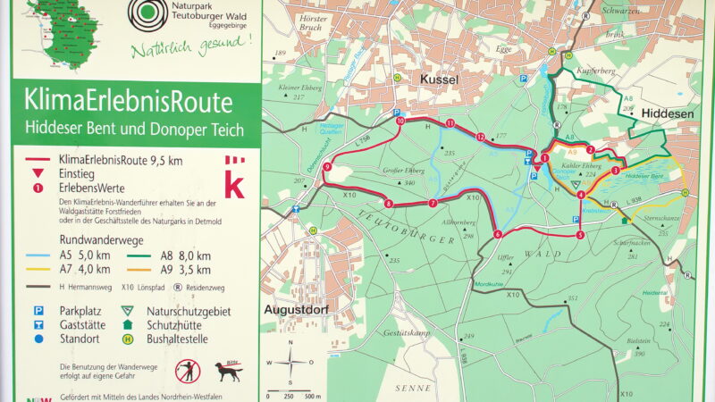 Donoper Teich - Detmold Donoper Teich dk1376