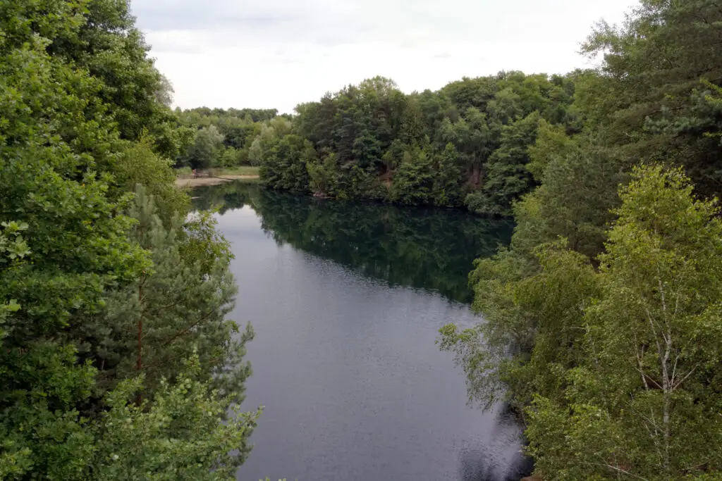 Neuer See – Oberwaldsee – Grüner See (Rundweg)