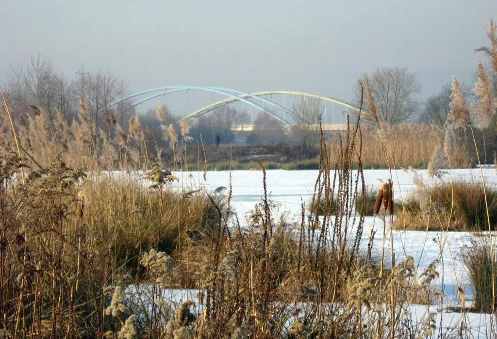 Ökosee Dillingen (Rundweg)