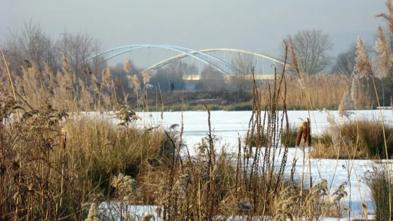 Ökosee Dillingen (Rundweg) - Dillingen Oekosee Eisenbahnbrkuecke