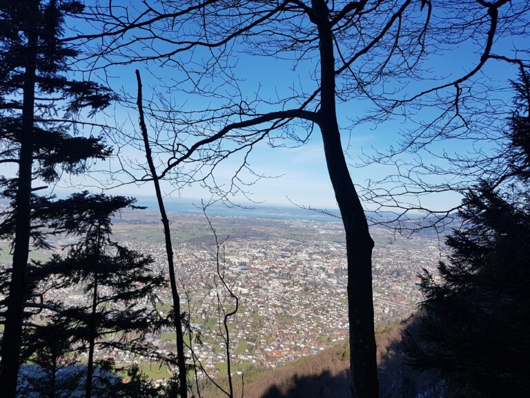 Blick auf Dornbirn
