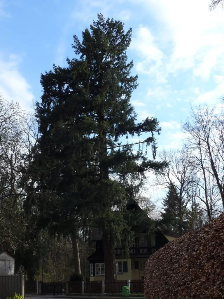 Blick auf Vaterstetten