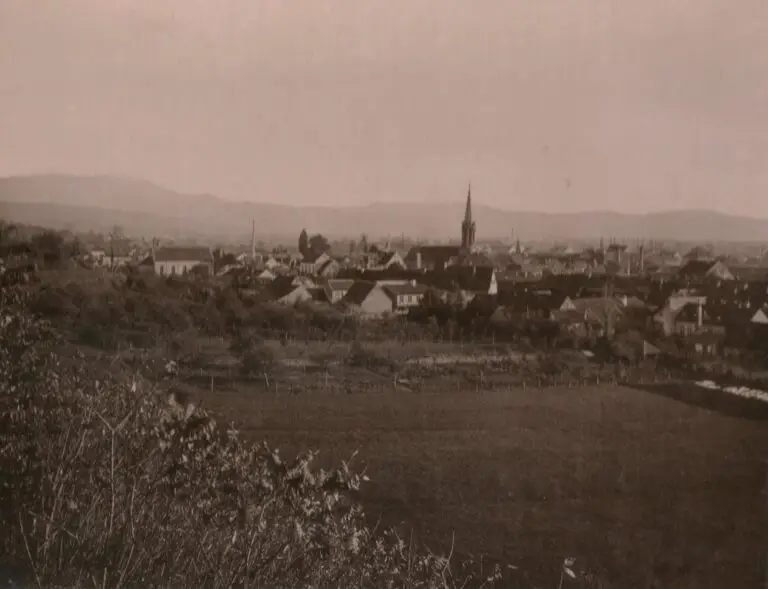 Blick auf Emmendingen