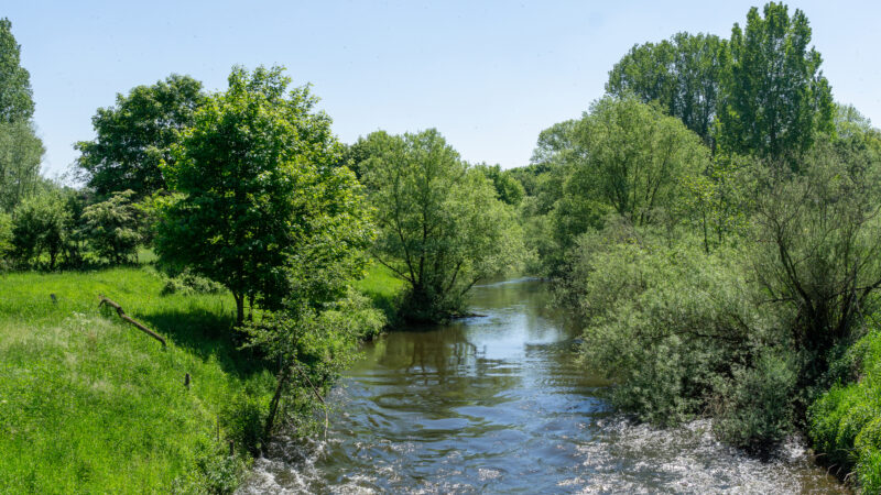 Naturschutzgebiet Emsaue bei Telgte - Emsaue bei Telgte DSC0933