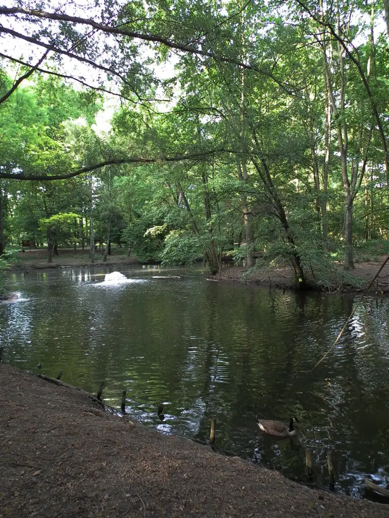 Wildpark Ludwigshafen-Rheingönheim