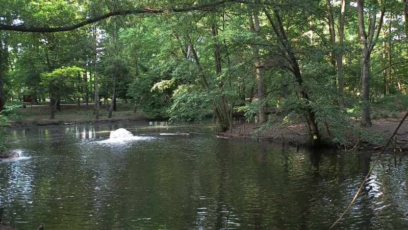 Wildpark Ludwigshafen-Rheingönheim