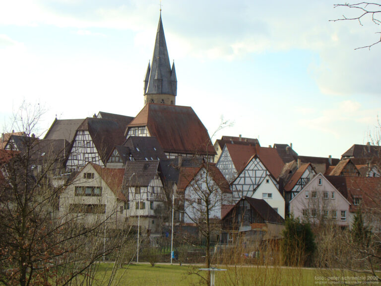 Blick auf Eppingen